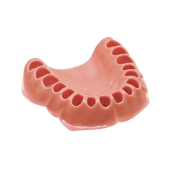 AG-3 WOK and WUK Partially Edentulous Dental Typodont