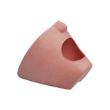 P-6 GMN Fantoma Head Facial Mask for Dental Training and Simulation