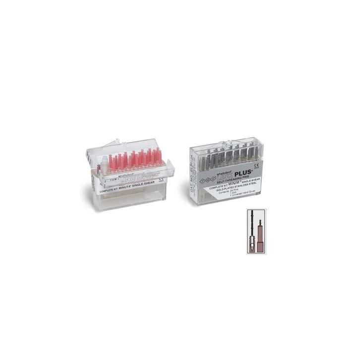 Parapulpal Pins EL511 - Retaining bolts (20 pc.)
