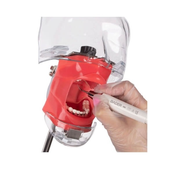 Periodontal Phantom Model for Dental Practice Training