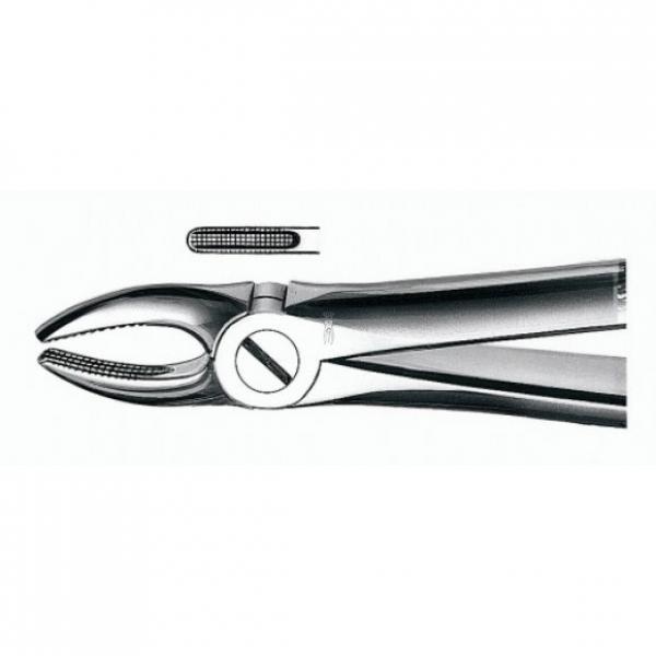 Carl Martin N79 Cordal Inferior Dental Forceps for Exodontia