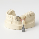 Orthodontic model