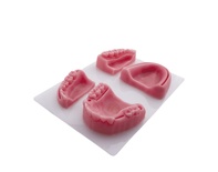 Silicone Suture Practice Model for Dental Training