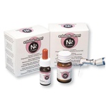 N2 ENDODONTIC CEMENT (10 g powder + 6g liquid)