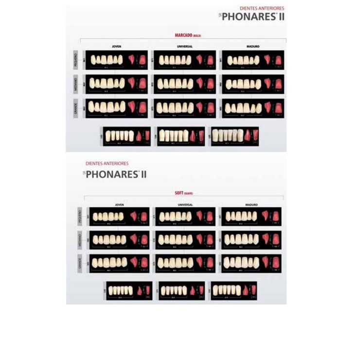 Phonares II: Lower Anterior Teeth (6 units)