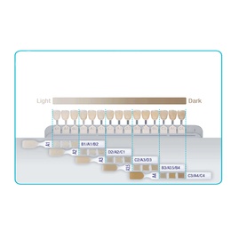 CLEARFIL MAJESTY ES2 Guida Colore Compatta per Compositi Dentali