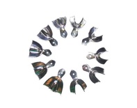 Rim Lock Regular Dental Impression Trays - Pack of 10