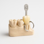 Add new tooth