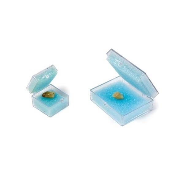 Transport Boxes for Individual Prosthesis or Bridges