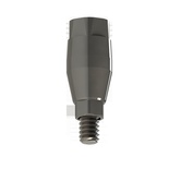 Single Abutment without Margin for Screw-Ins