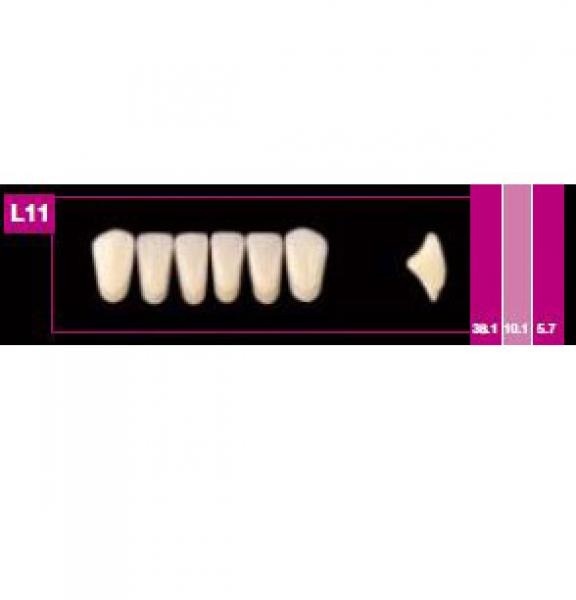 Cosmo HXL Lower Anterior Acrylic Teeth, 6 Units