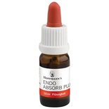 Endo Absorb Plus: Temporary Root Canal Filling Material