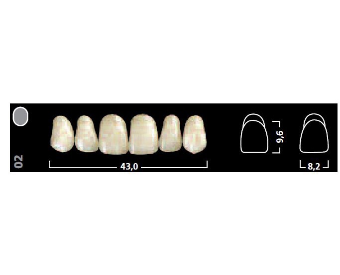 Ivostar A-D: Upper Anterior Acrylic Teeth (6 units)