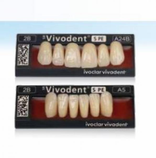 Phonares II: Upper Posterior Teeth (8 units)