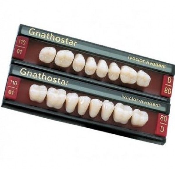 Gnathostar: Upper Posterior Acrylic Teeth (8 units)