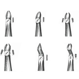 Forceps para Exodontia Maxilar Superior e Inferior em Aço Inoxidável