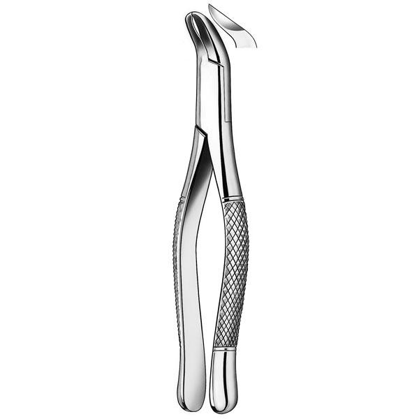 Carl Martin 409 Cow Horn Extraction Dental Forceps