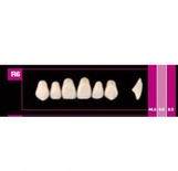 Cosmo HXL Upper Anterior Acrylic Teeth Set (6 Units)