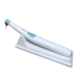 Endo activator