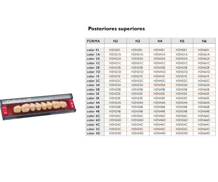 SR Orthotyp S PE: Lower Posterior Acrylic Teeth (8 units)