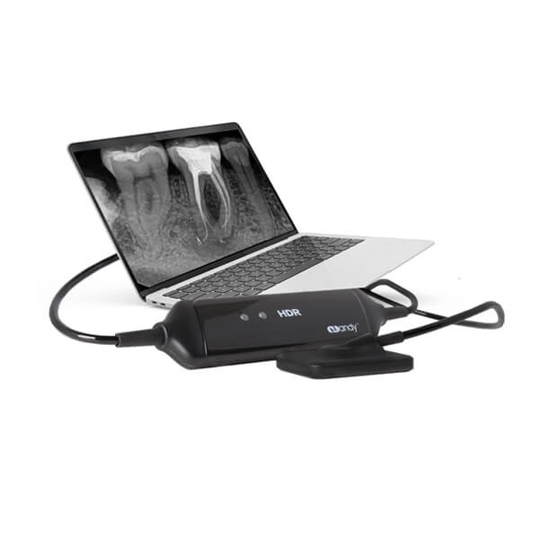 HDR Intraoral X-ray Sensor for Digital Dental Imaging