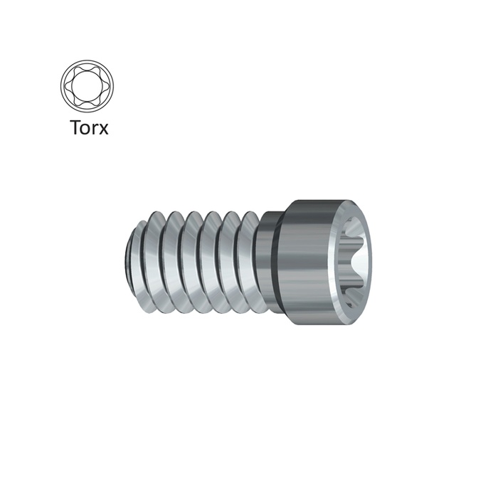 Internal Octagonal Attachment Screw for Straumann Tissue Level WN® Implants