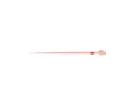 Rotate - Assortment of Guttapercha tips (60pcs)