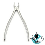 Extraction Forceps for Exodontic Extraction