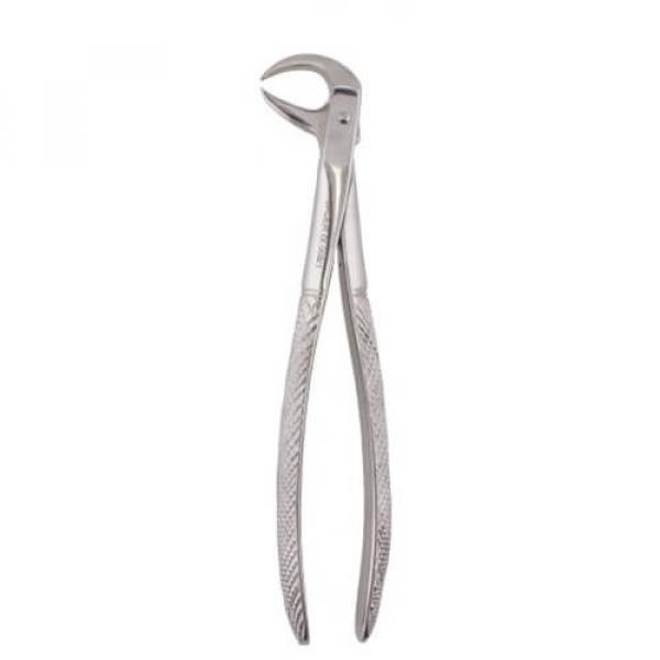 Stainless Steel Pico de Loro Tooth Extraction Forceps Figure 86C