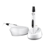 Gutta Percha Fi-E + Fi-P 3D Sealing System