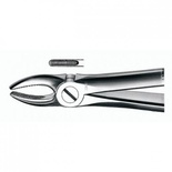 Carl Martin N79 Cordal Inferior Dental Forceps for Exodontia