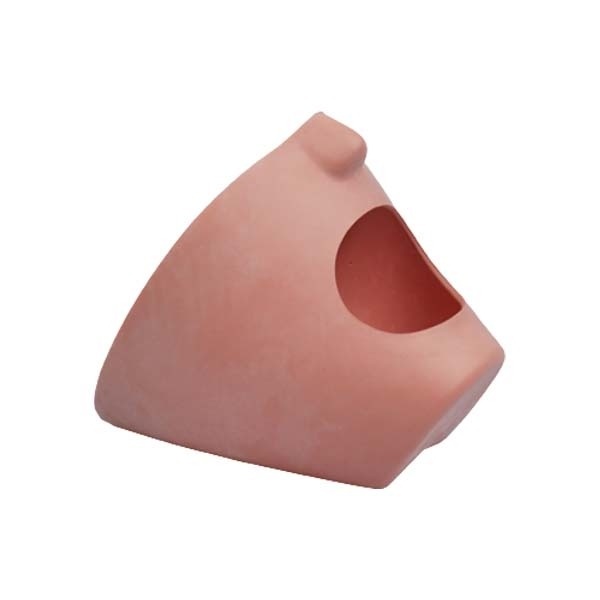 P-6 GMN Fantoma Head Facial Mask for Dental Training and Simulation