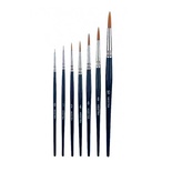Plastic Toray Brush with Rounded Tip