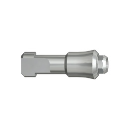 Analogo Interno Ottagonale per Impianti Straumann Tissue Level RN® Ø4.8