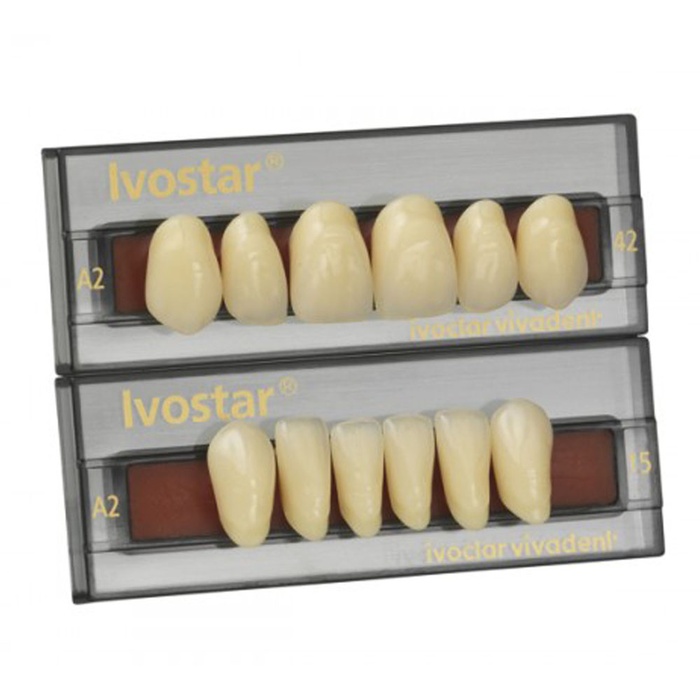 Ivostar: Upper Anterior Acrylic Teeth (6 units)