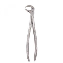 Forceps para Extração Dentária Pico de Loro Aço Inoxidável Figura 86C