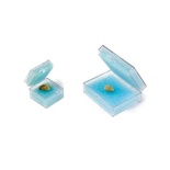 Transport Boxes for Individual Prosthesis or Bridges