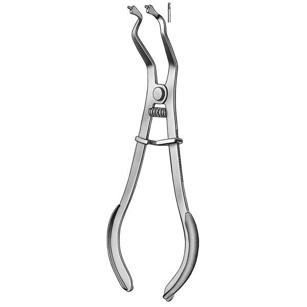 Ivory Clamp Holder for Dental Applications