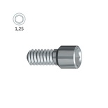Internal Hexagonal Attachment Screw for Dentsply Astra Osseospeed Lilac ø4.0/4.5