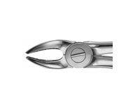 Dental Forceps for Upper and Lower Molars