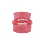 Dental Phantom Simulator Model for Practice and Training