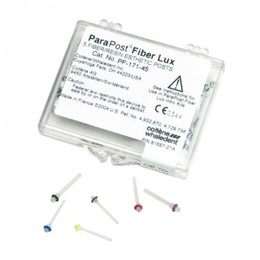 ParaPost Fiber White - 5 Fibre Posts con Adesivo Chimico per Restauri Dentali