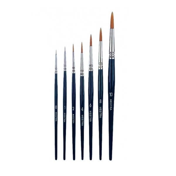 Plastic Toray Brush with Rounded Tip