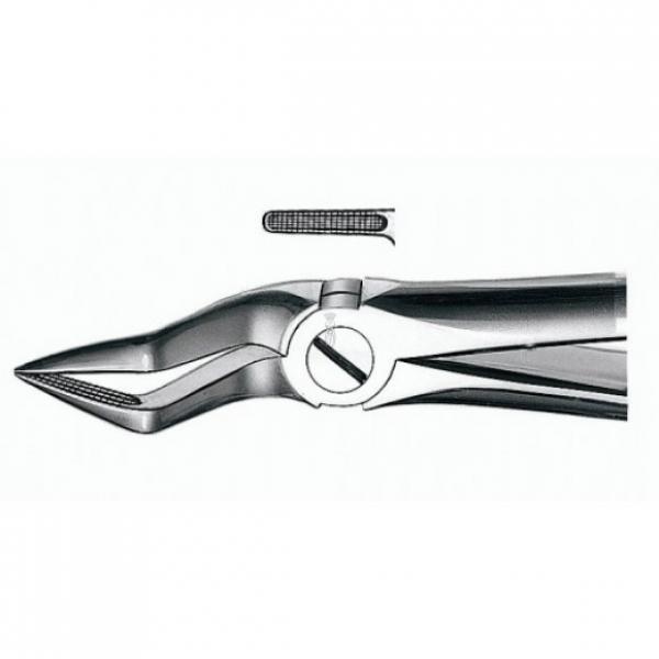 E51A Forceps N.51A for Upper Root Extraction