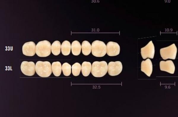Idealis: Upper Posterior Acrylic Teeth (8 units)