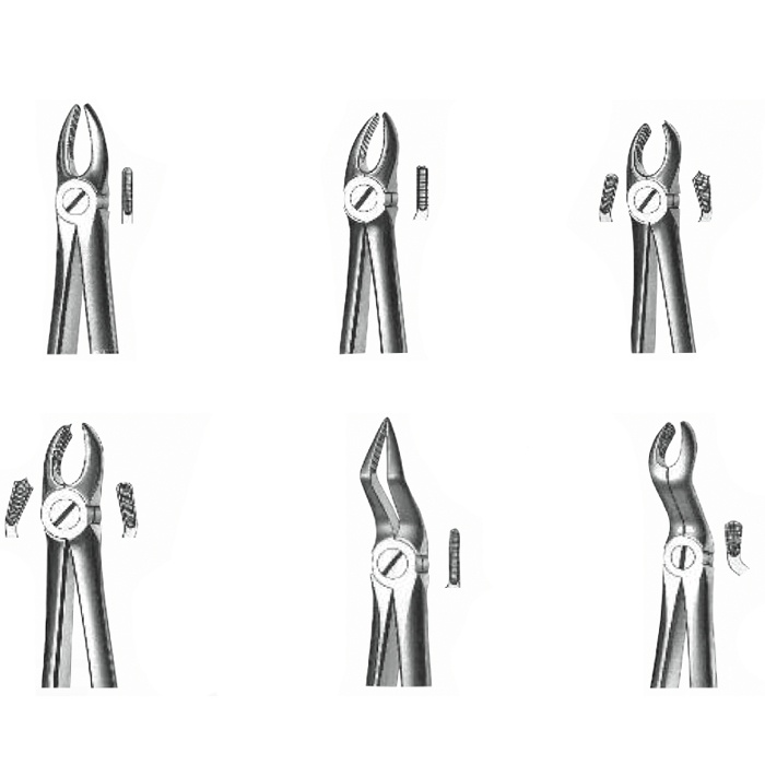 Forceps Upper and Lower Maxillary Exodontia: Stainless Steel Instruments