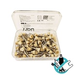 Natural Bristle Prophy Brush (100 pcs)