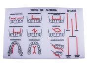 Practical Suture Foam Model for Dental Training and Practice