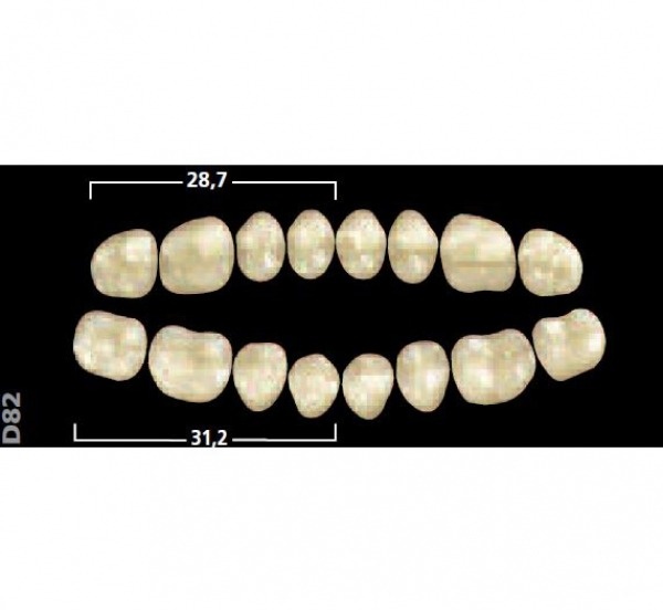 Gnathostar: Lower Posterior Acrylic Teeth (8 units)