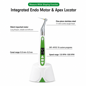 Endo Motor with Contra Angle Head and Apex Locator